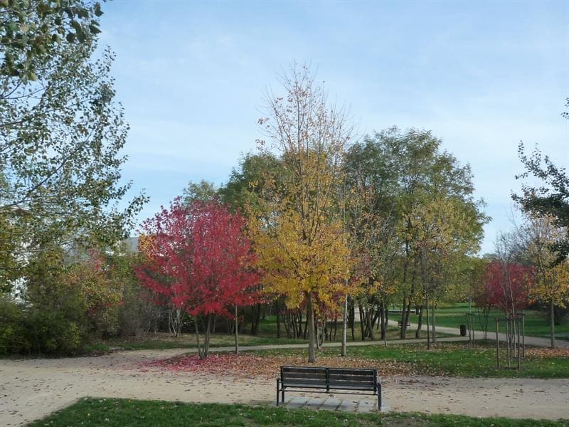 Le parc des Rives de la Thur