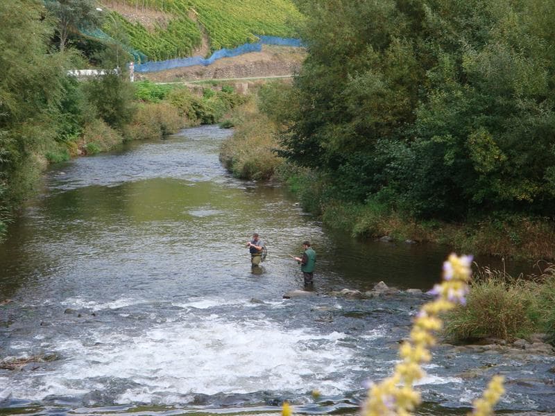 Pêche dans la Thur