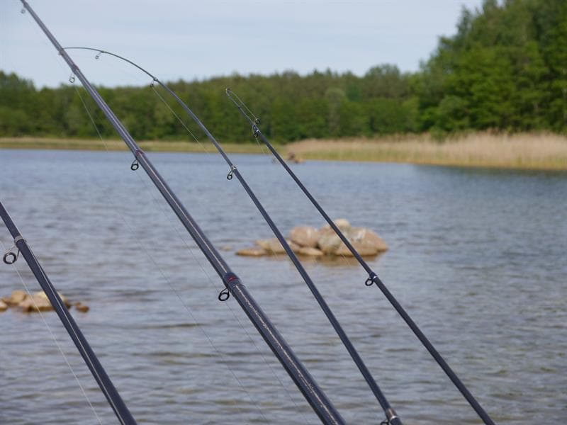 Pêche : étangs du Nonnenbruch