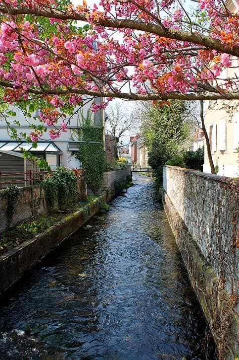 Canal usinier en fleurs