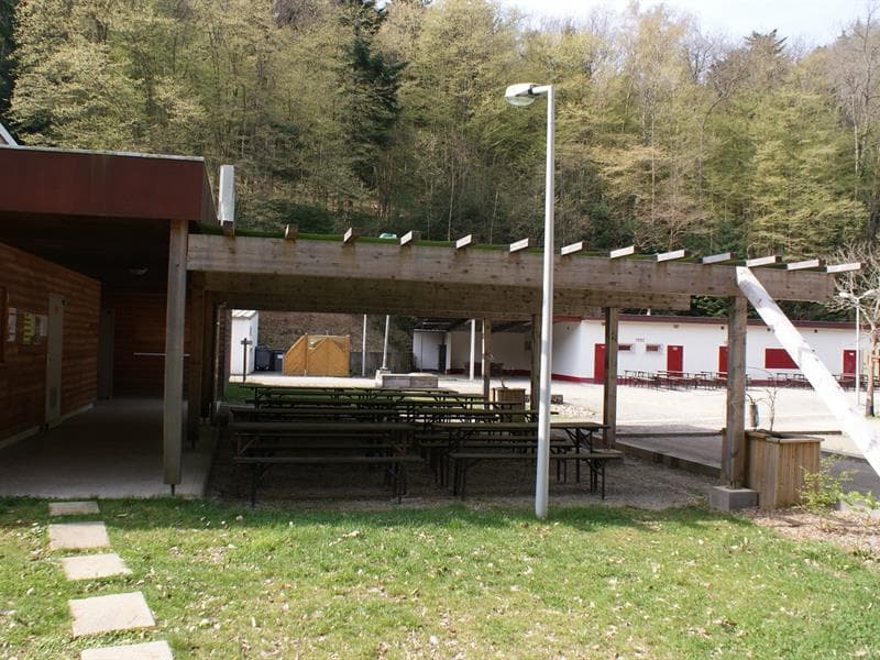 Clairière du Silberthal à Steinbach