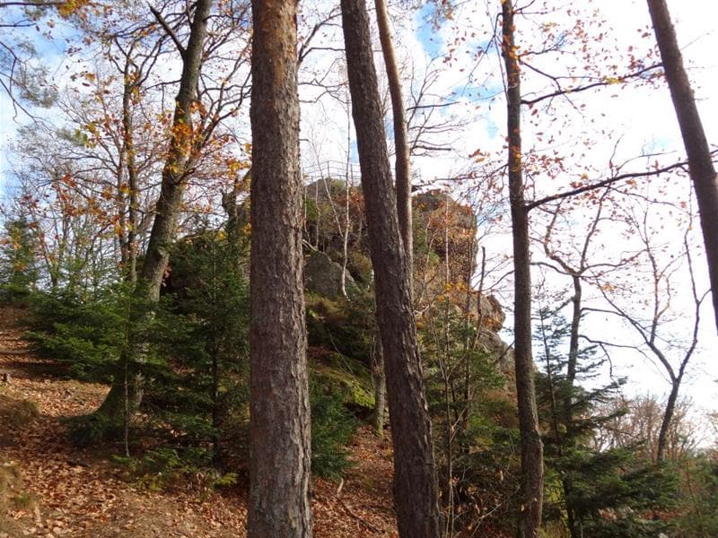 Le rocher du Hirnlestein