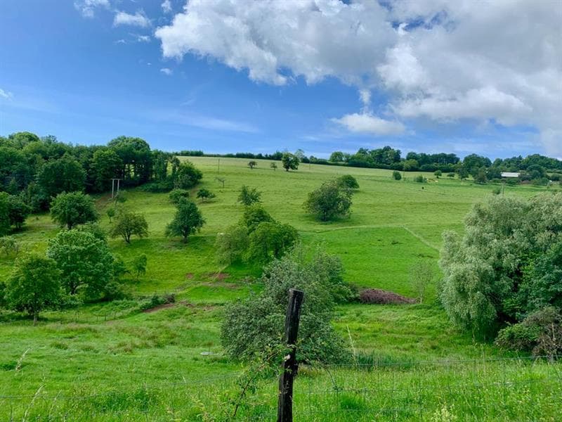 L'arboretum de la Bodenmatten