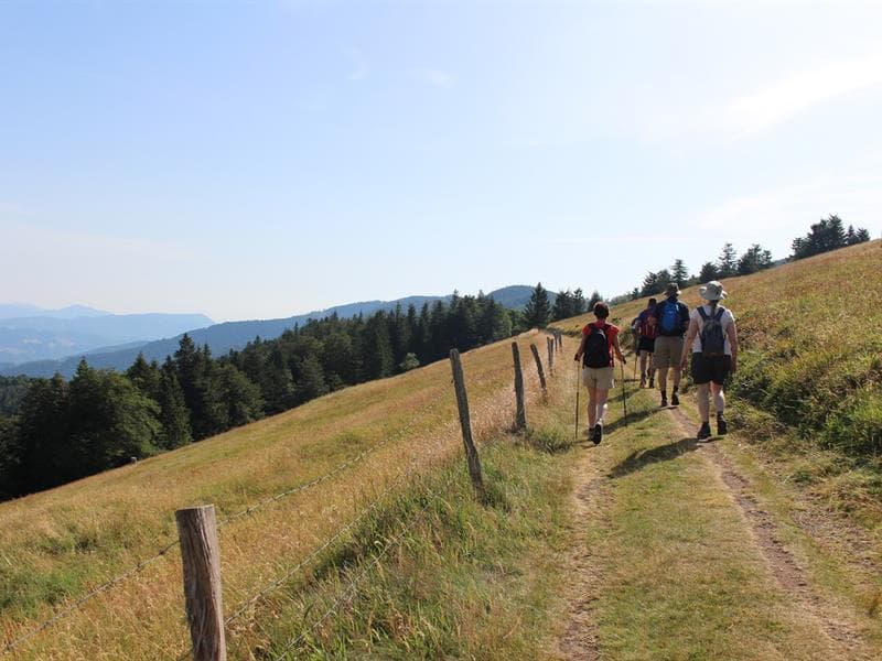 Sortie pédestre : les volcans du Rossberg