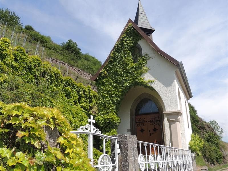 Dégustation de vins du Rangen et jeux sensoriels