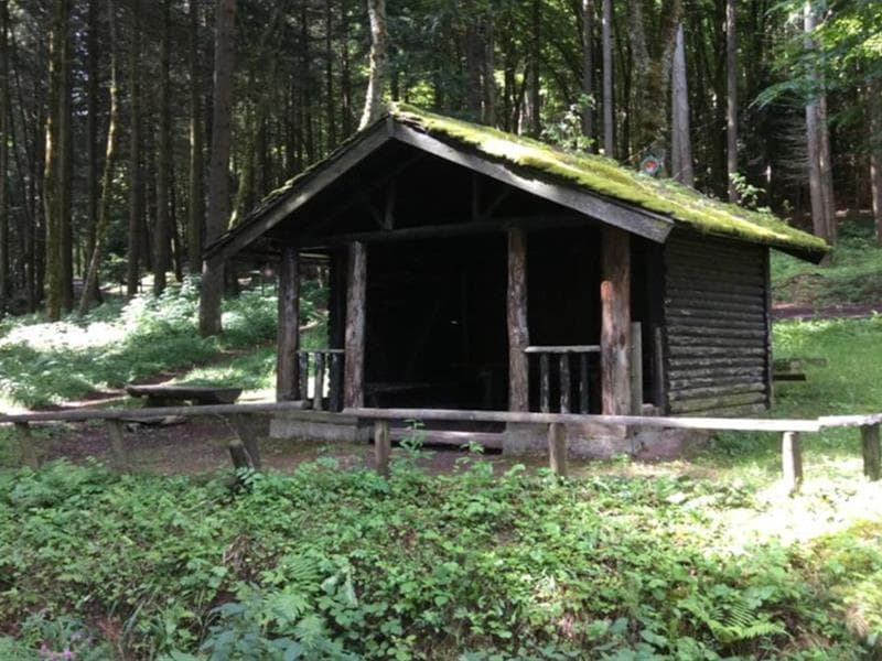 Abri forestier du plan Diebold