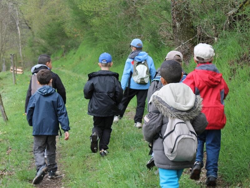 Atelier : immersion au cœur de la forêt de Thann