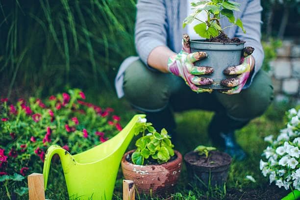 Papotage et jardinage