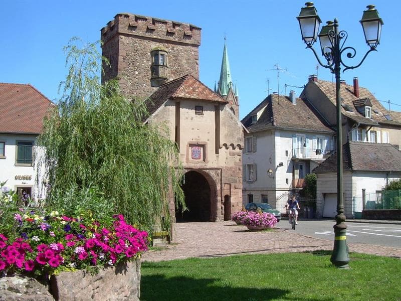 Visite du musée de Cernay