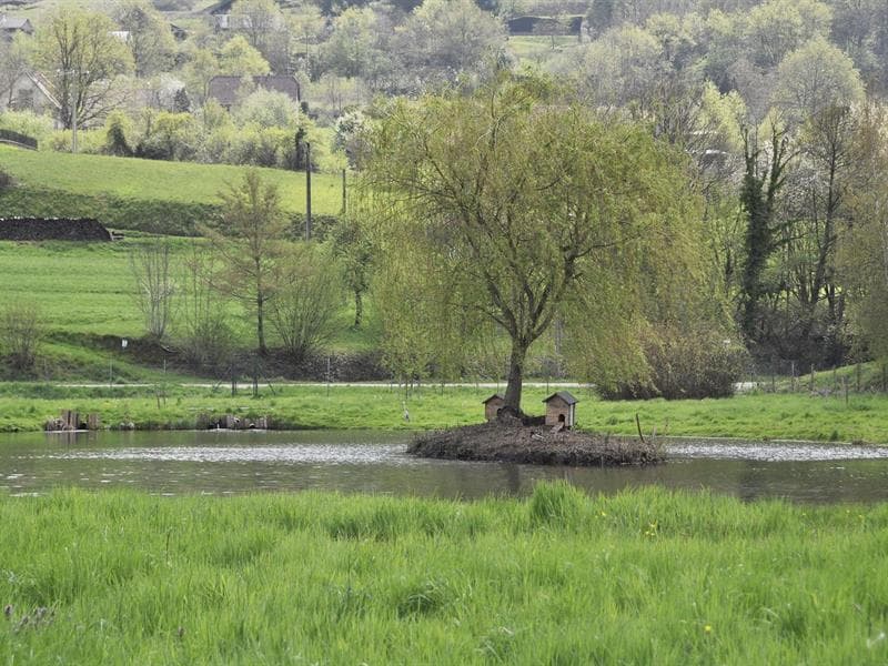 Etang de pêche de Fouchy