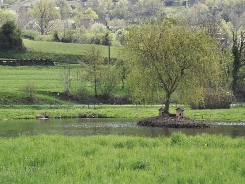 Etang de pêche de Fouchy