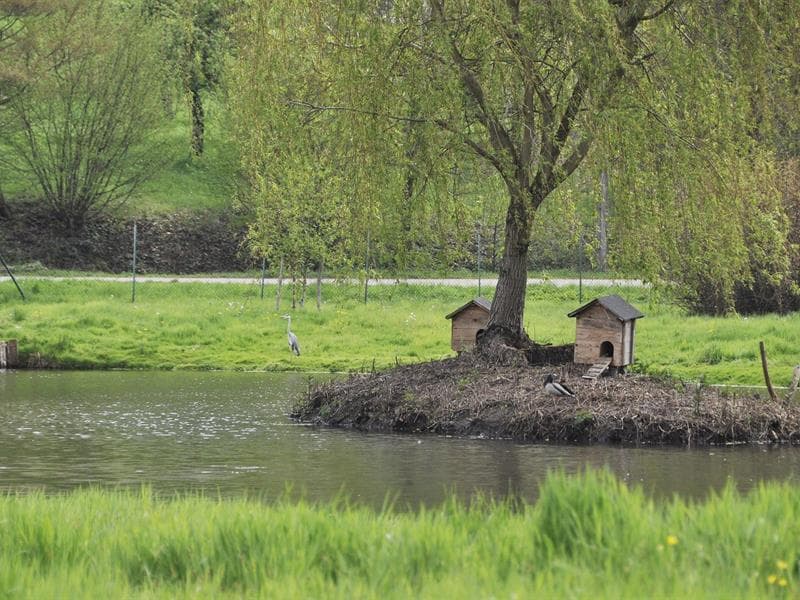 Etang de pêche de Fouchy