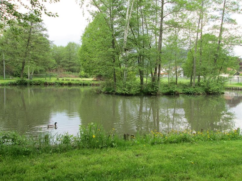 Etang de pêche de Villé
