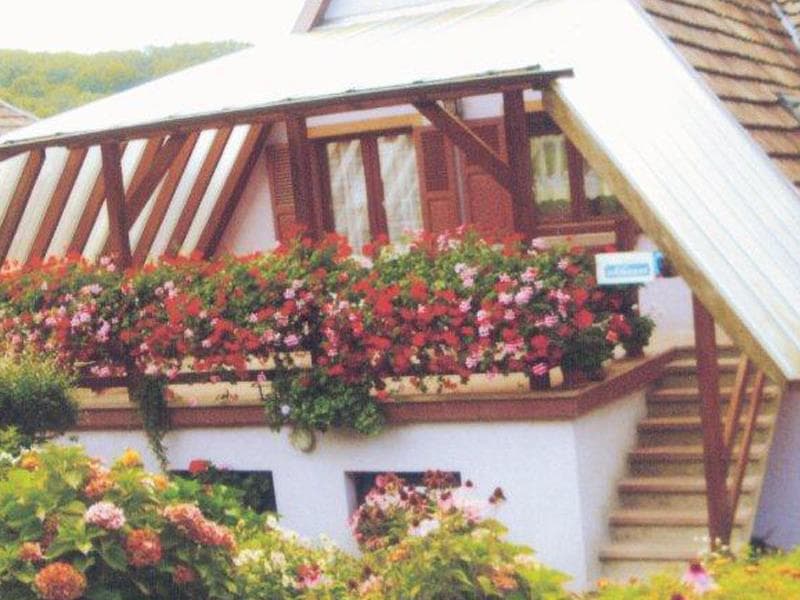 Gîte Monsieur Jean BIEHLER