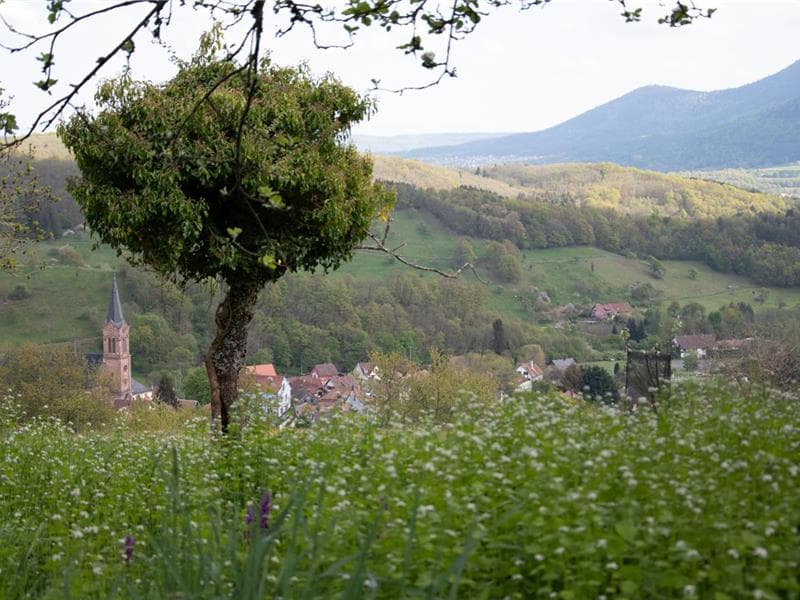 Breitenbach