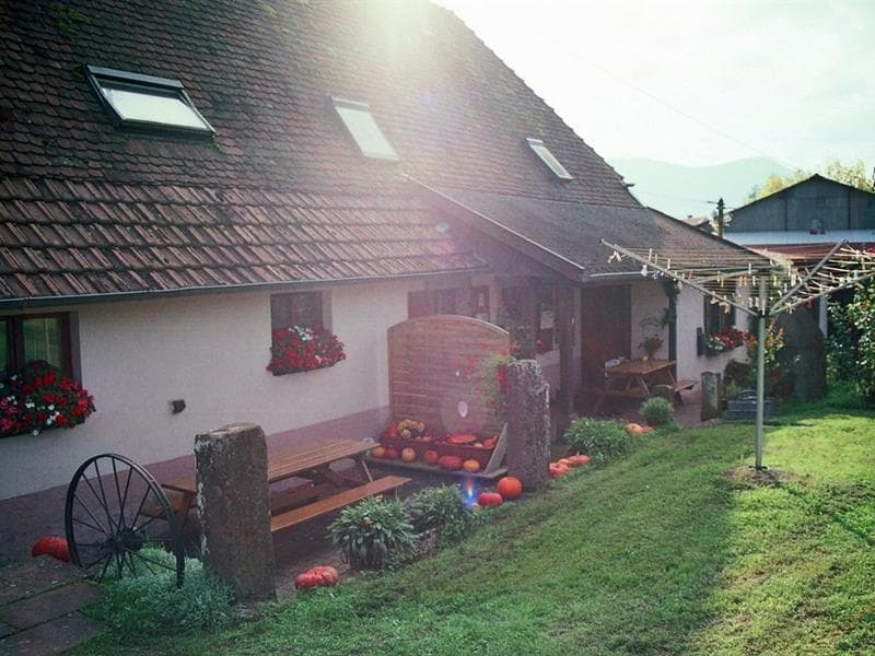 Gîte n°1 Madame Heidi MEYER