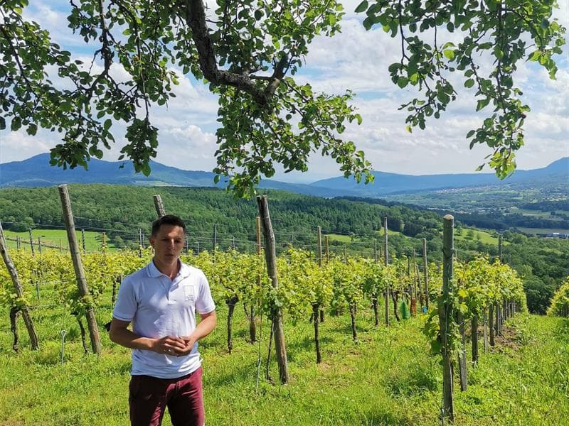Vins d'Alsace Christian Barthel