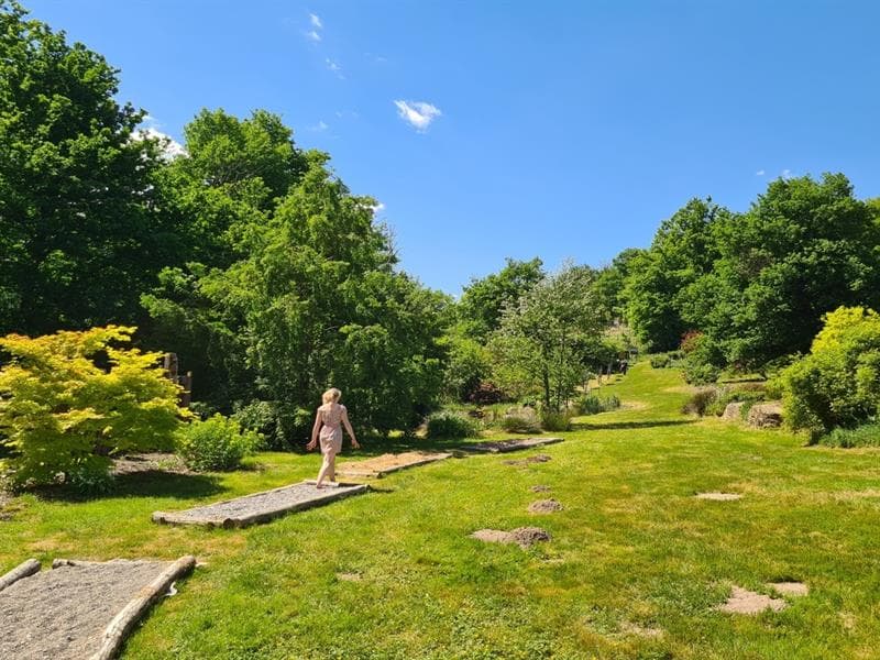 Jardin Lilaveronica