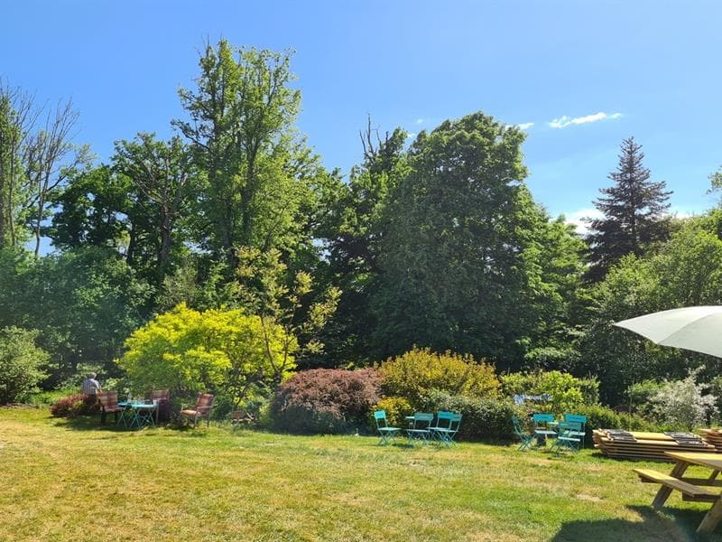 Jardin Lilaveronica