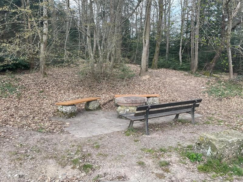 Aire de pique-nique du Klosterwald