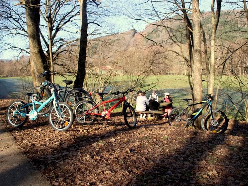 Aire de pique-nique de la piste cyclable Villé-Bassemberg