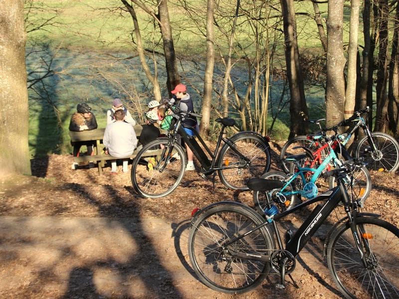 Aire de pique-nique de la piste cyclable Villé-Bassemberg