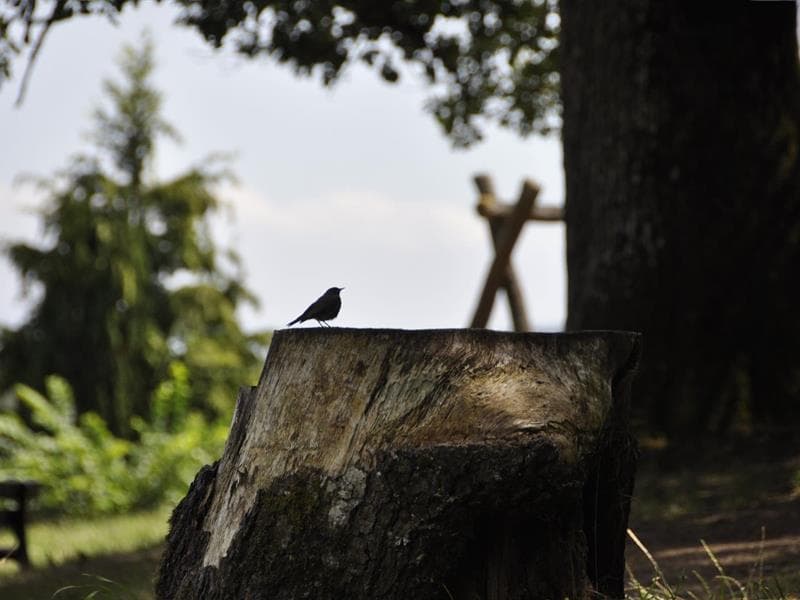 Aire de jeux du Klosterwald