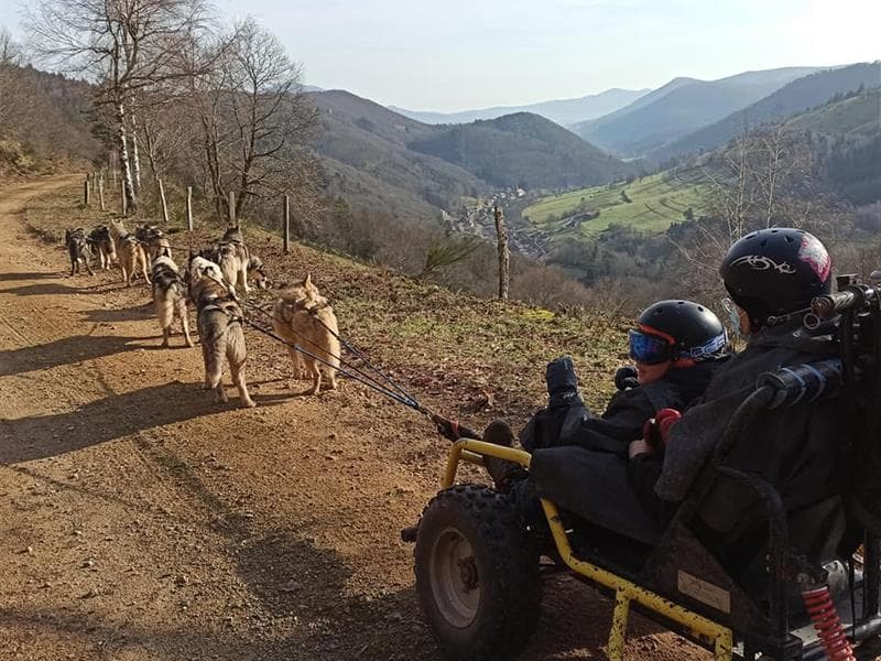 Manouk Evasion, balade en chiens de traineau