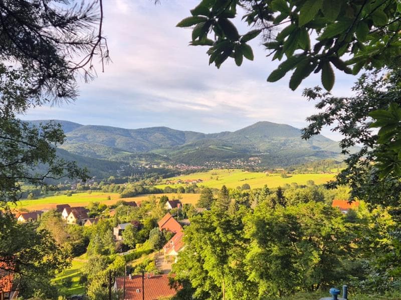 Stage bien être, weekend yoga rando méditation en Alsace