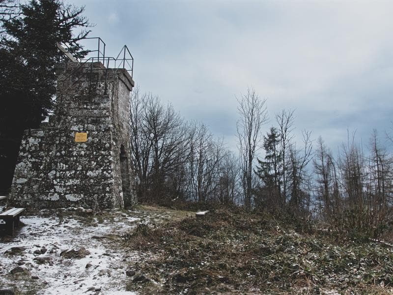 Tour Héring