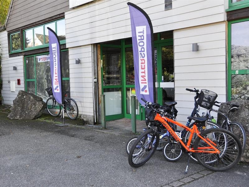 Location de vélos, VTT, vélos électriques et skis