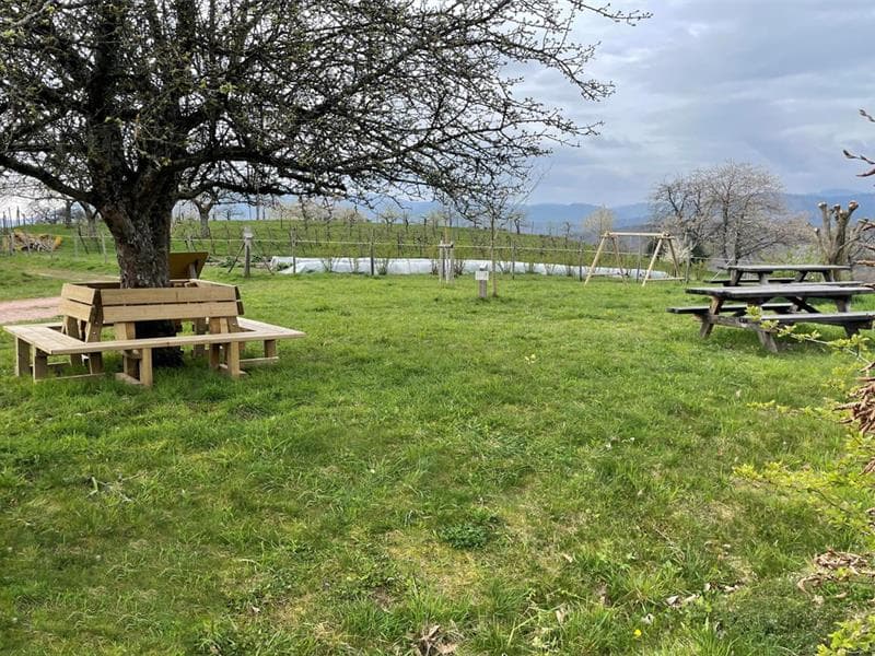 Aire de jeux - espace nature
