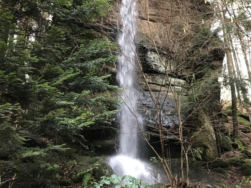 Cascade Mencke