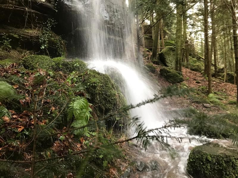 Cascade Mencke