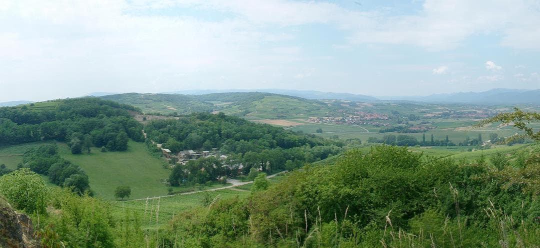 Mont Scharrach