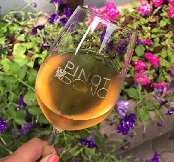 Pinot & Sono