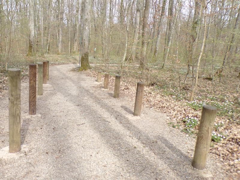 Parcours de santé