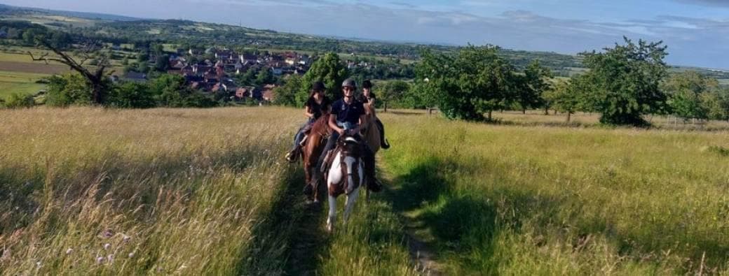 Expériences Mossig & Vignoble : Balade à cheval