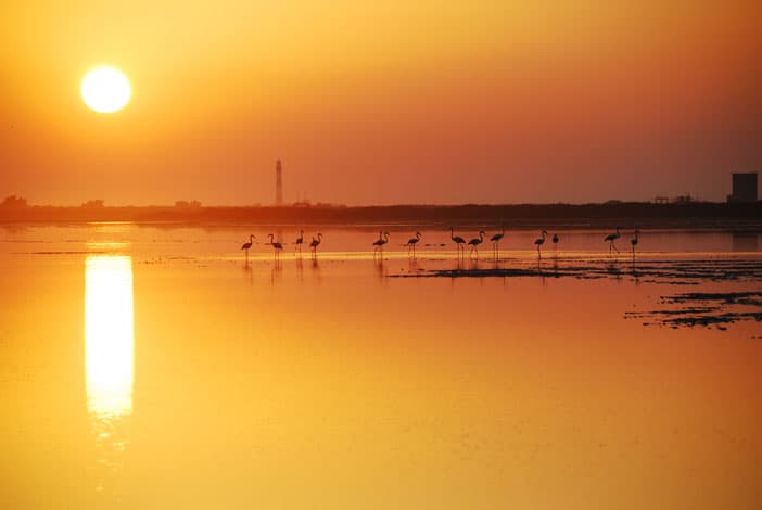 Randonnée "Petite Camargue coucher de soleil"