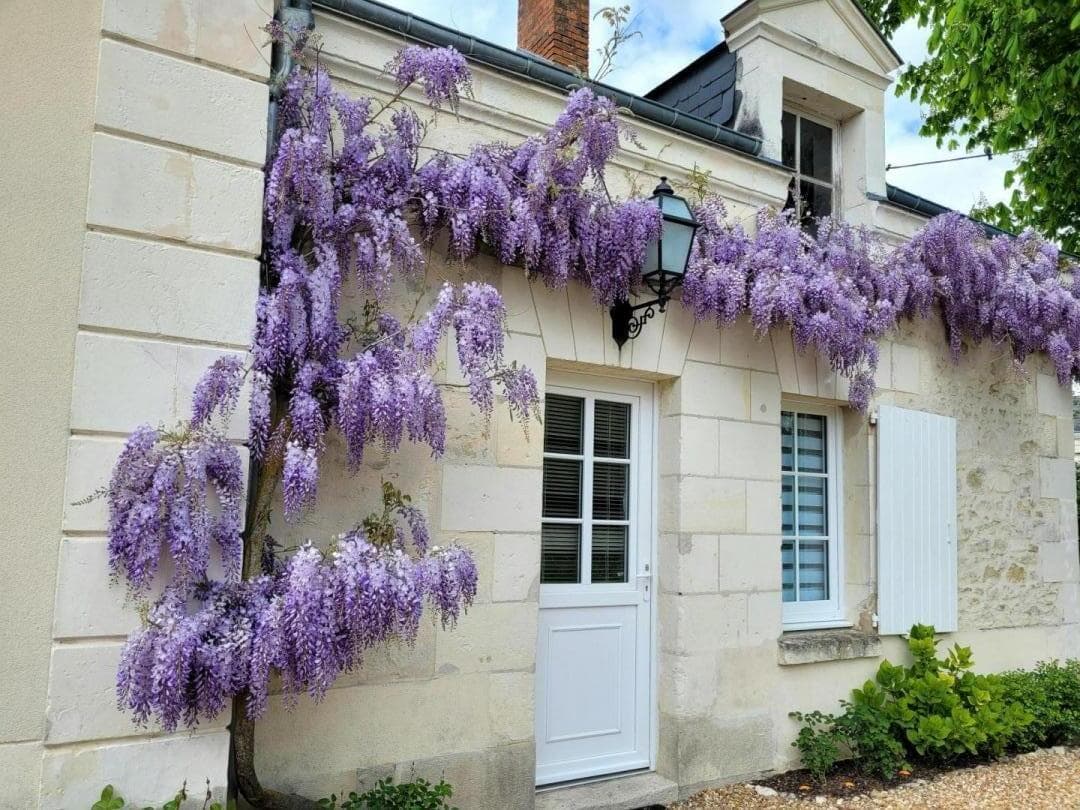 Gîte les Tomettes_1