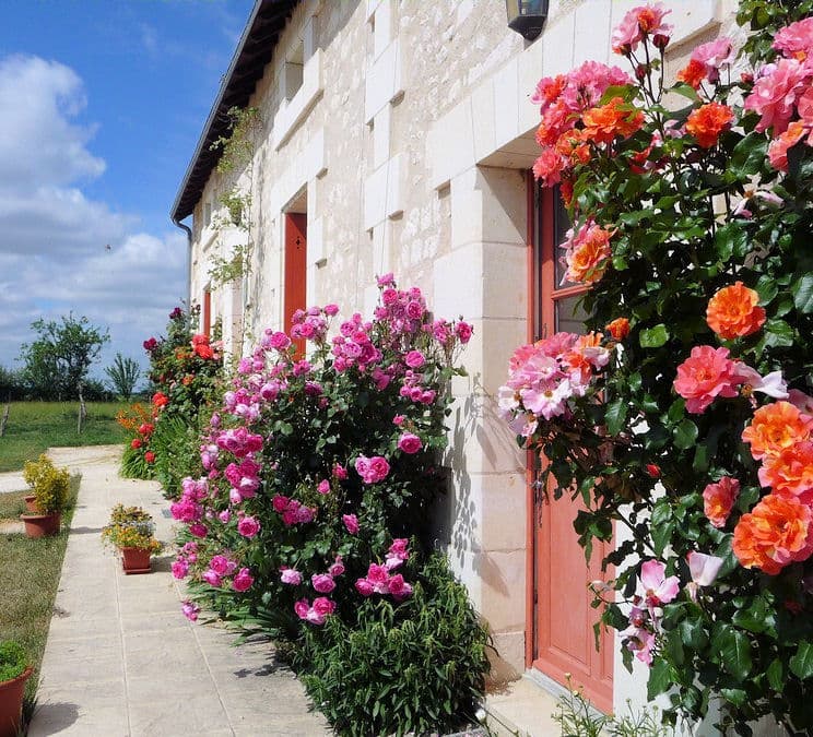 La Cotterie_1