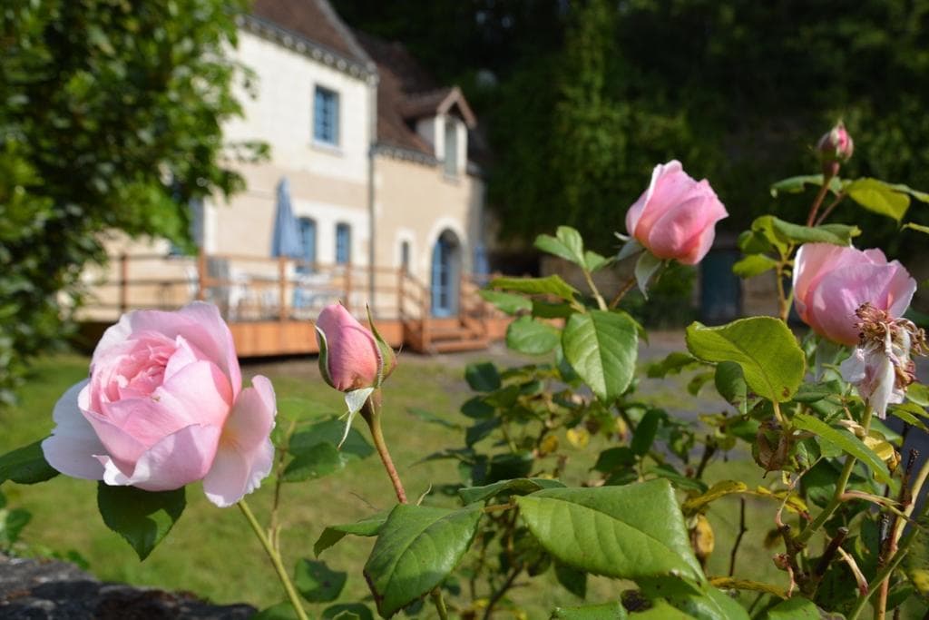 Gîte de la Fontaine_1