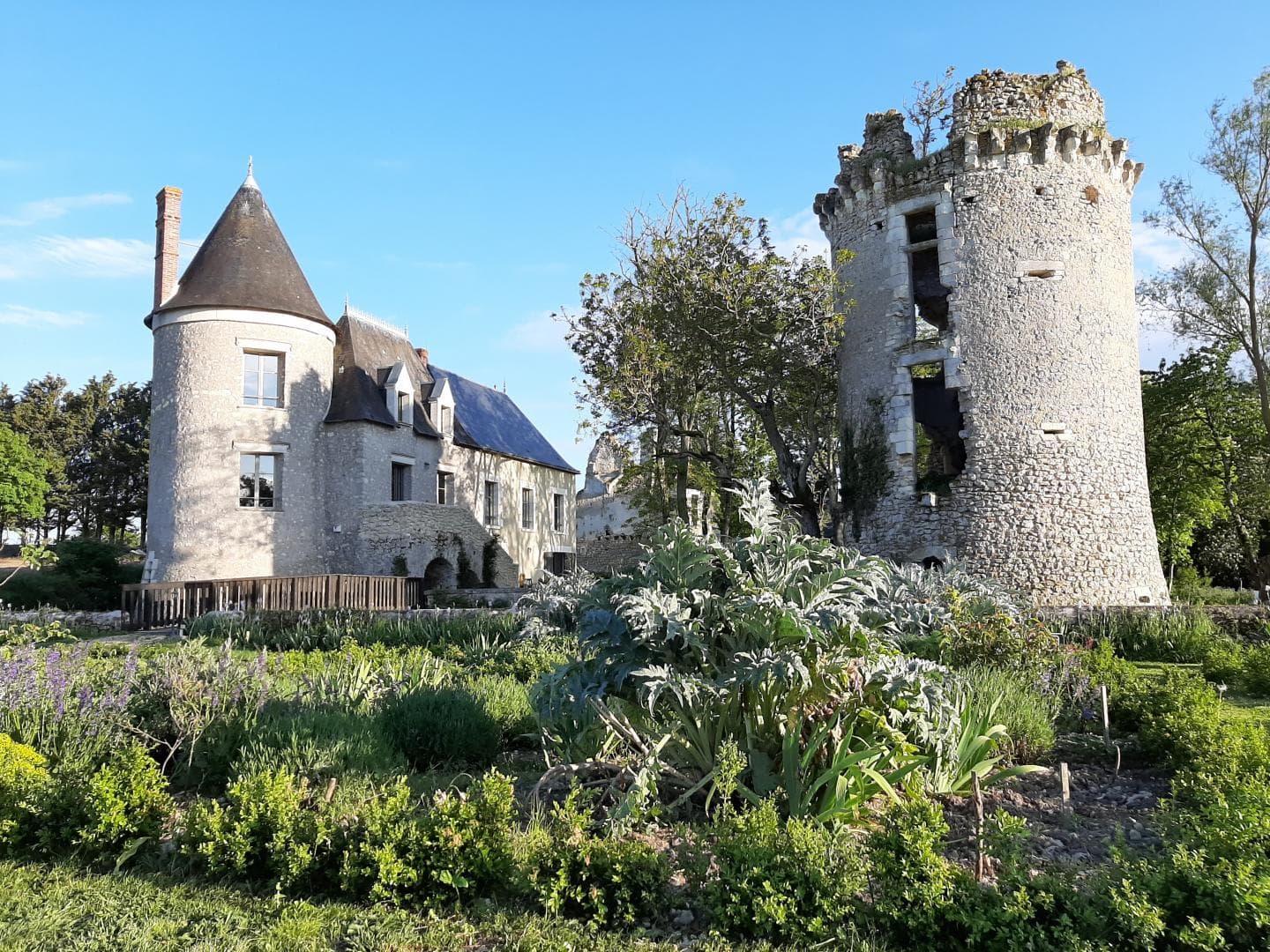Château de Fontenay_1
