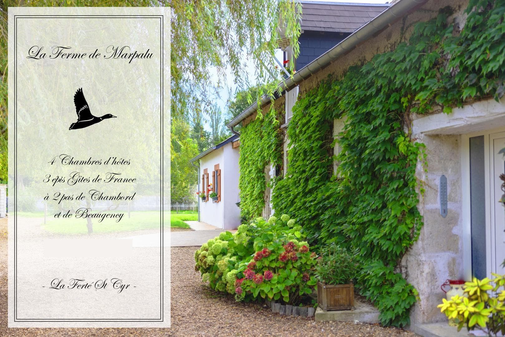 La Ferme de Marpalu_1