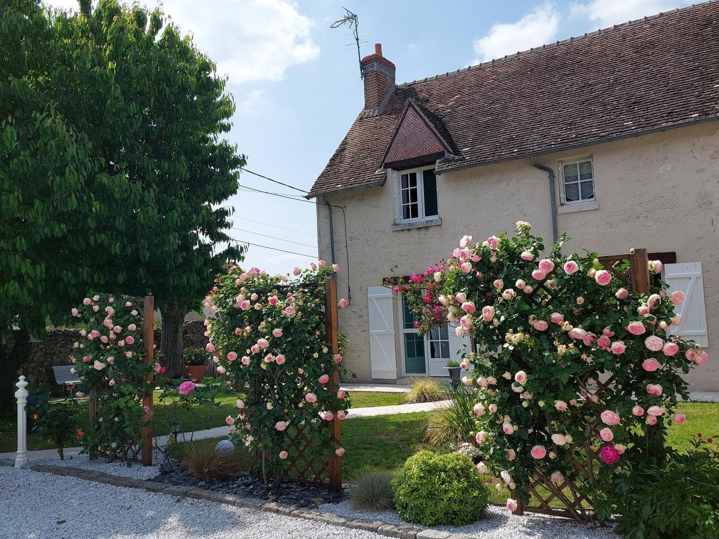 Le Clos des Noëls_1