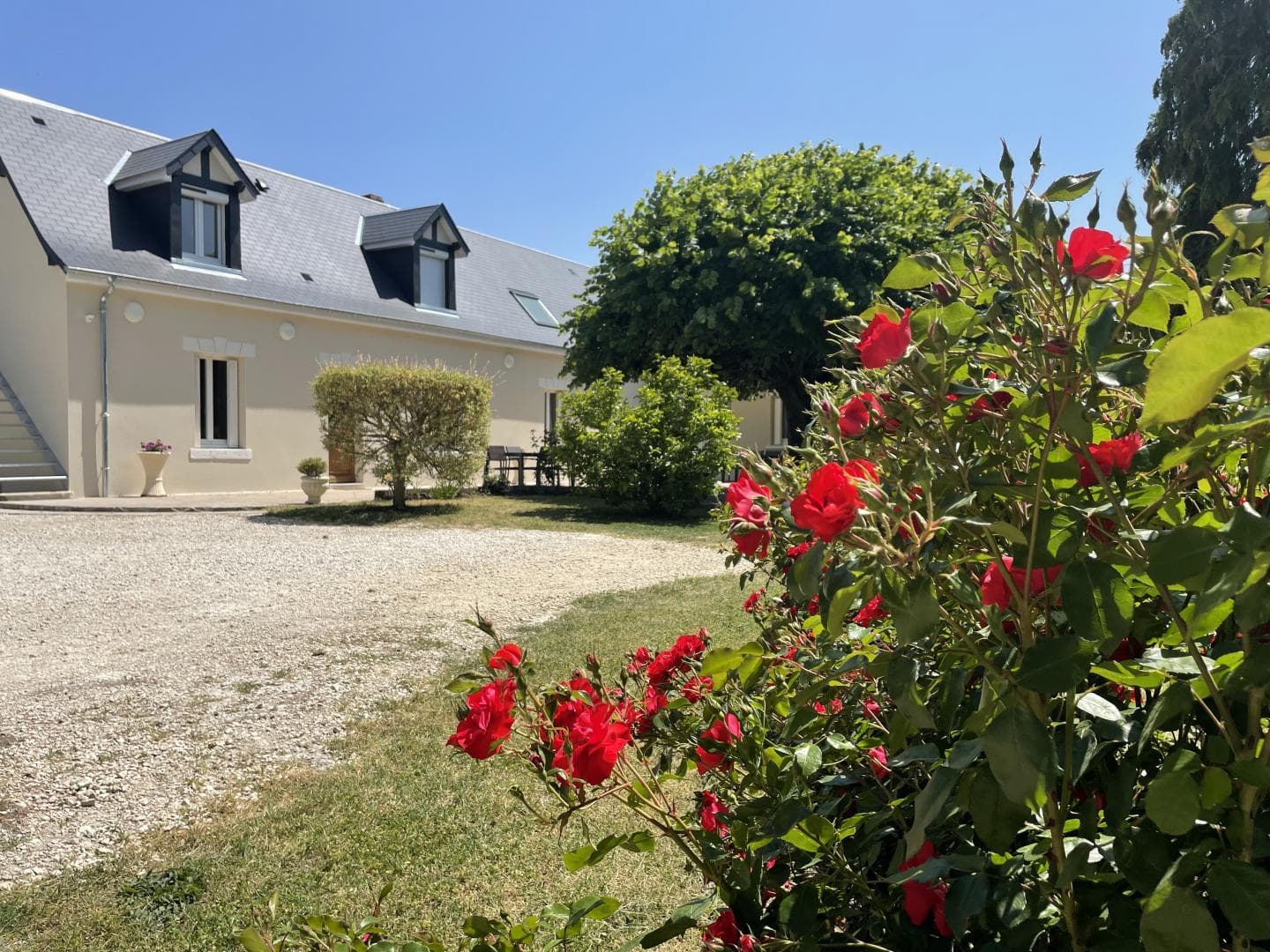 Les Roseaux_1