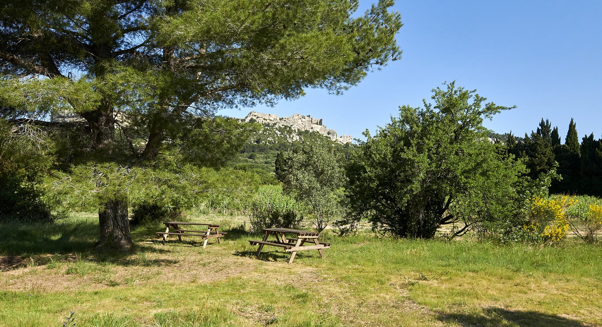 Mas Sainte Berthe_Les Baux-de-Provence