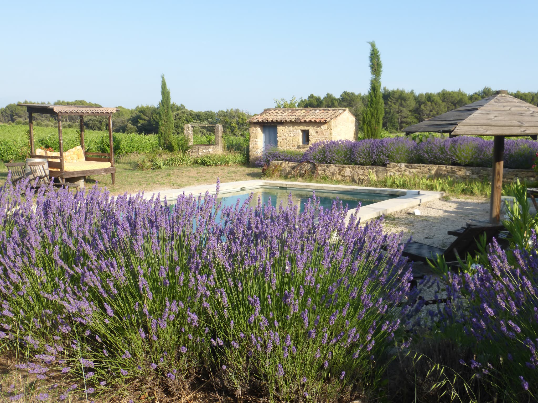 Domaine du Coffre - Gîte des Oliviers