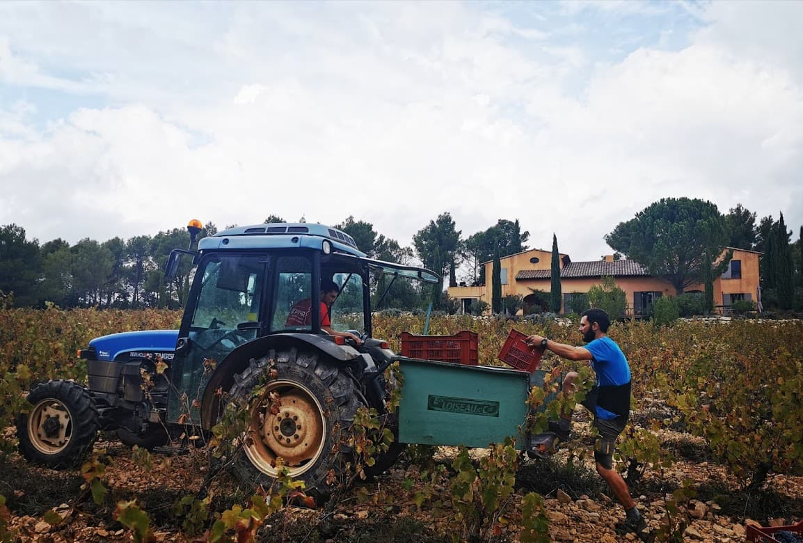 Villa Minna Vineyard