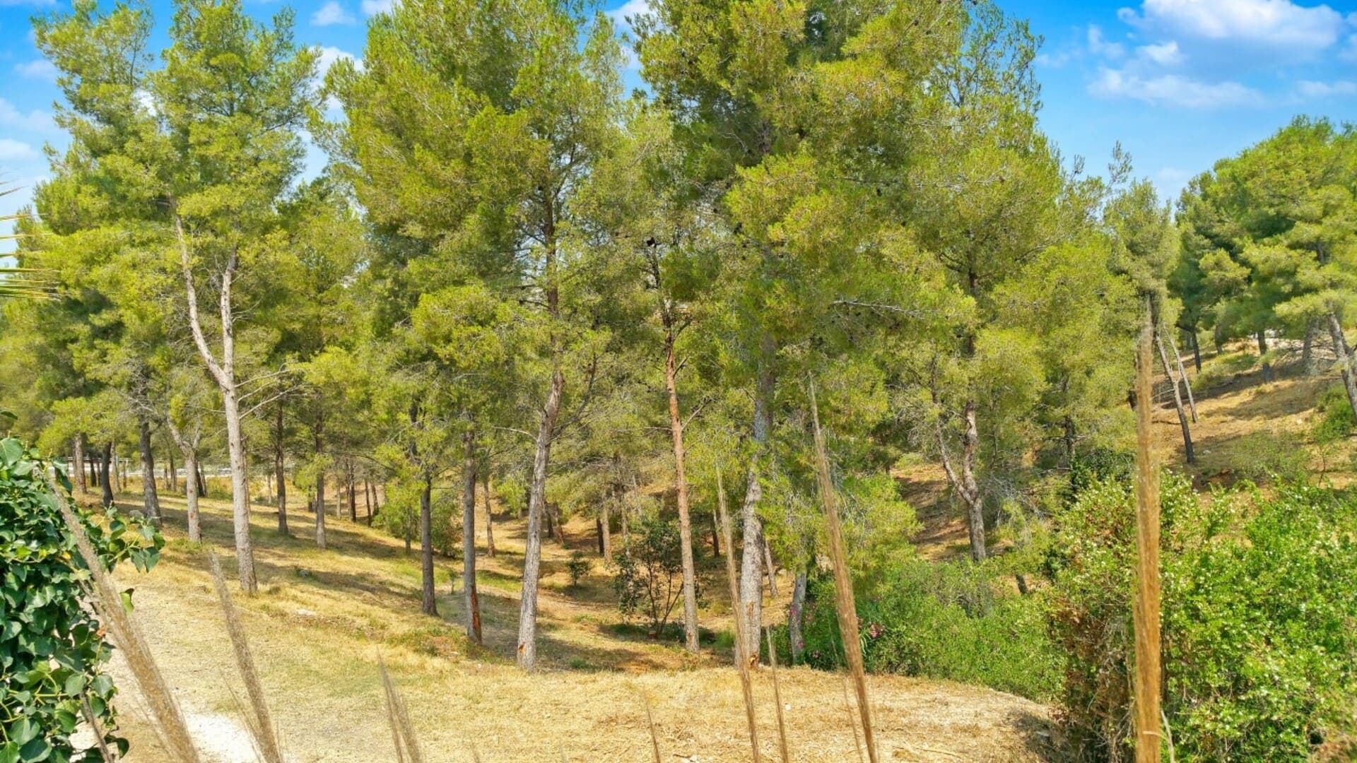 T3 avec piscine et jardin privé - Plage à 800 m